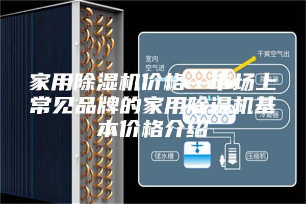 家用除湿机价格—市场上常见品牌的家用除湿机基本价格介绍