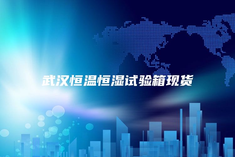 武汉恒温恒湿试验箱现货