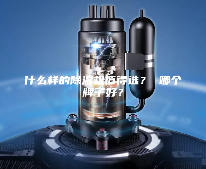什么样的除湿机值得选？ 哪个牌子好？