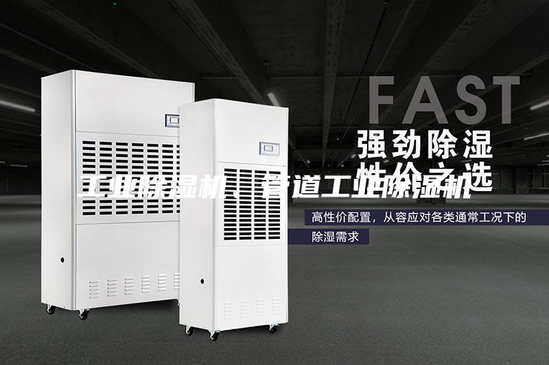 工业除湿机、管道工业除湿机