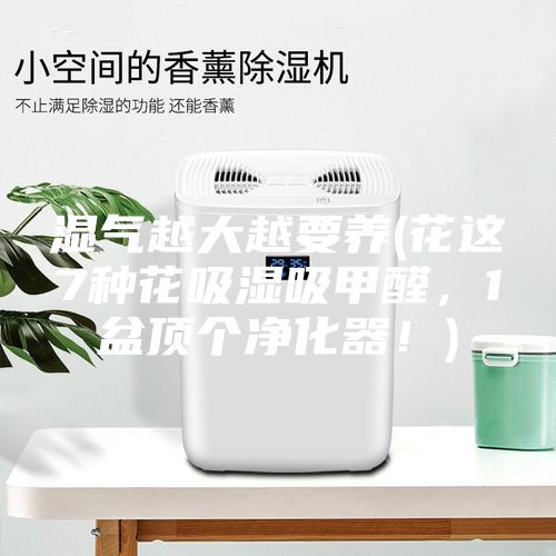湿气越大越要养(花这7种花吸湿吸甲醛，1盆顶个净化器！)