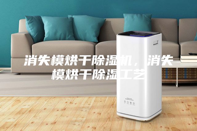 消失模烘干除湿机，消失模烘干除湿工艺