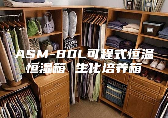 ASM-80L可程式恒温恒湿箱 生化培养箱