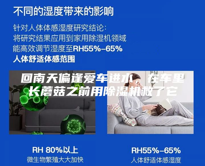 回南天偏逢爱车进水，在车里长蘑菇之前用除湿机救了它