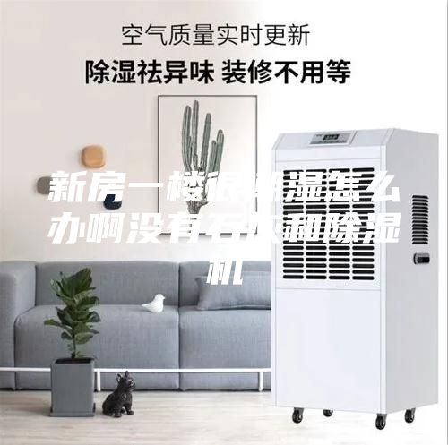 新房一楼很潮湿怎么办啊没有石灰和除湿机