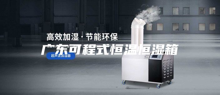 广东可程式恒温恒湿箱