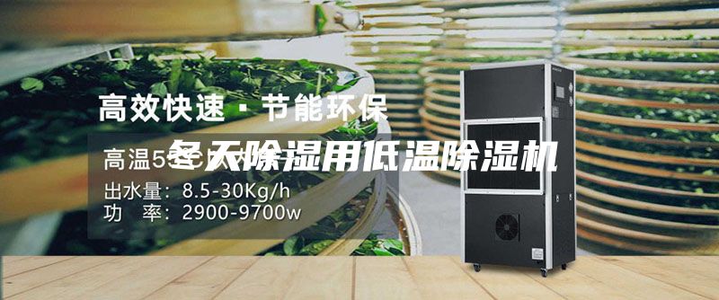 冬天除湿用低温除湿机