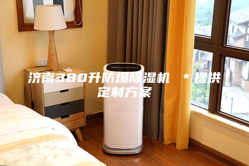 济南380升防爆除湿机 ＊提供定制方案