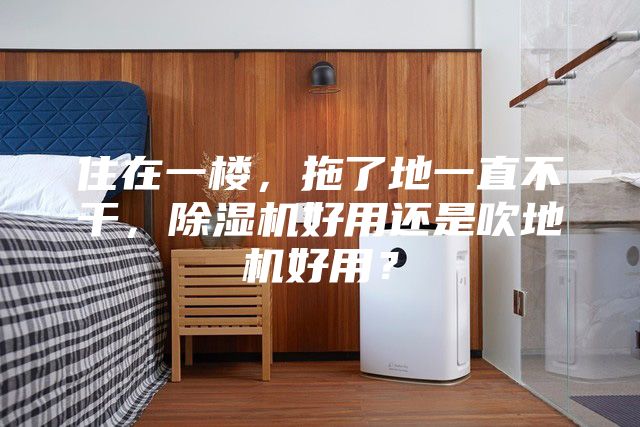 住在一楼，拖了地一直不干，除湿机好用还是吹地机好用？