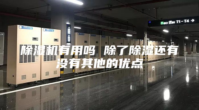 除湿机有用吗 除了除湿还有没有其他的优点