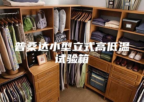 普桑达小型立式高低温试验箱