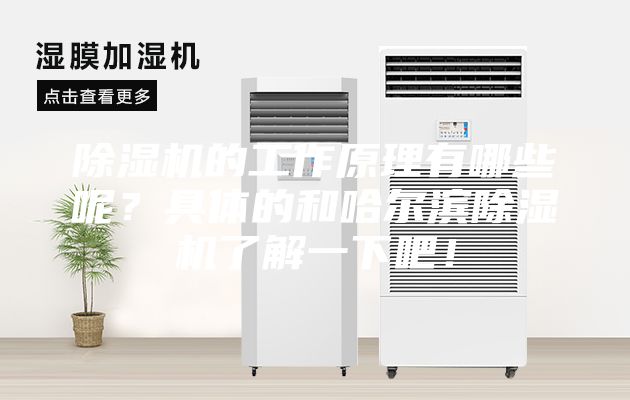 除湿机的工作原理有哪些呢？具体的和哈尔滨除湿机了解一下吧！