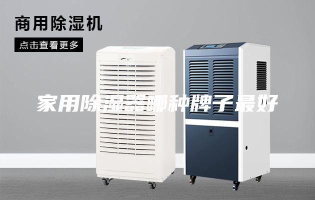 家用除湿器哪种牌子最好