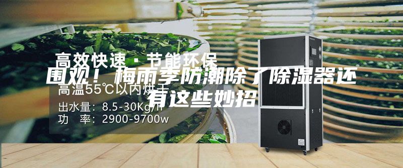 围观！梅雨季防潮除了除湿器还有这些妙招