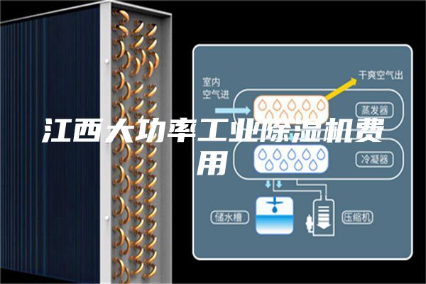 江西大功率工业除湿机费用