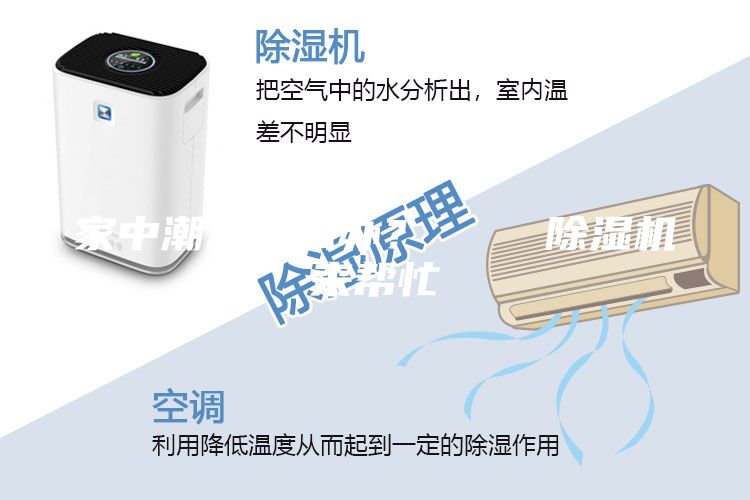 家中潮湿怎么办？    除湿机来帮忙