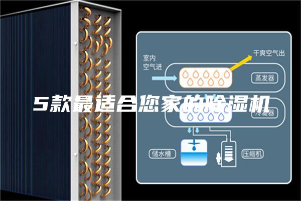 5款最适合您家的除湿机