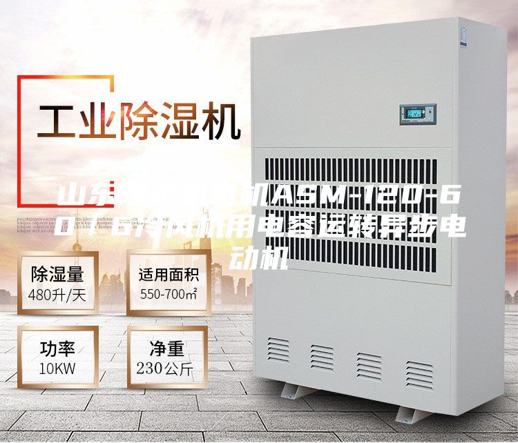 山东除湿机电机ASM-120-60／6冷风机用电容运转异步电动机