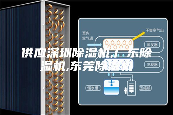 供应深圳除湿机,广东除湿机,东莞除湿机
