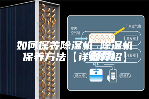 如何保养除湿机 除湿机保养方法【详细介绍】