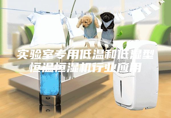 实验室专用低温和低湿型恒温恒湿机行业应用