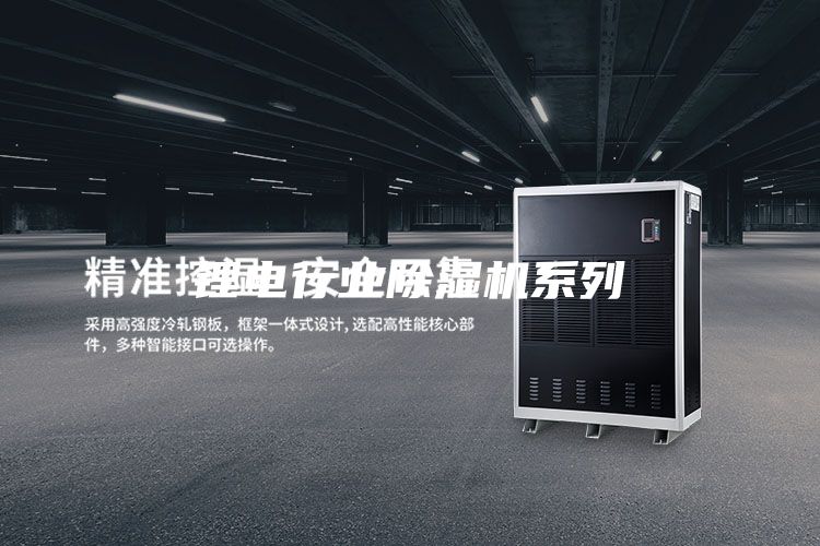 锂电行业除湿机系列