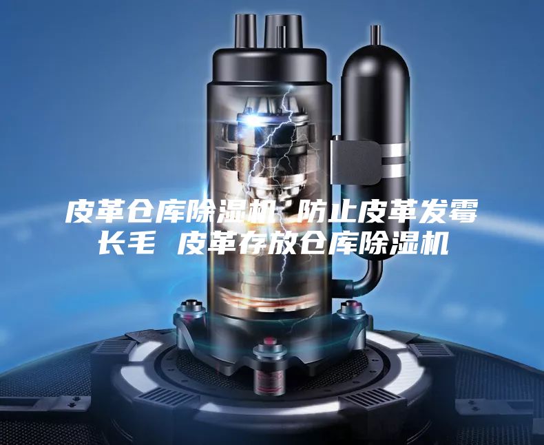 皮革仓库除湿机 防止皮革发霉长毛 皮革存放仓库除湿机