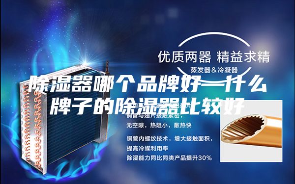 除湿器哪个品牌好—什么牌子的除湿器比较好