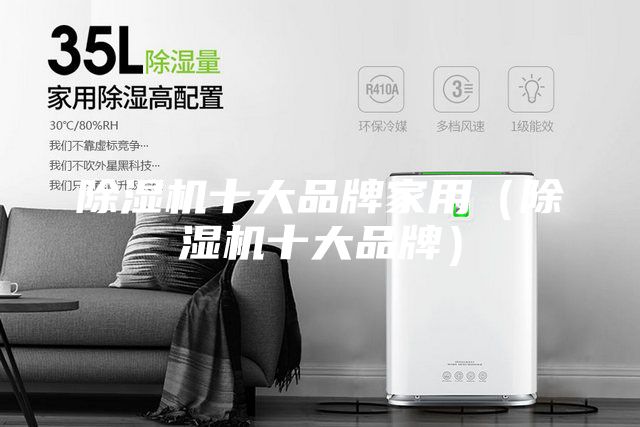 除湿机十大品牌家用（除湿机十大品牌）