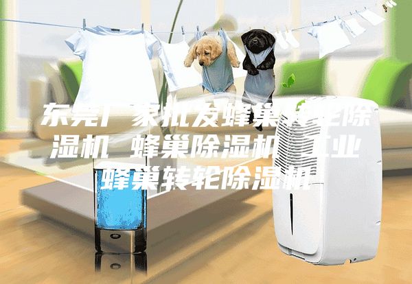 东莞厂家批发蜂巢转轮除湿机 蜂巢除湿机 工业蜂巢转轮除湿机