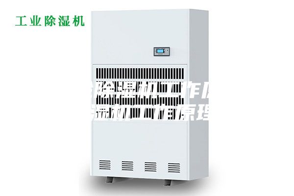 双转轮除湿机工作原理（除湿机工作原理）