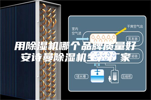 用除湿机哪个品牌质量好安诗曼除湿机生产厂家