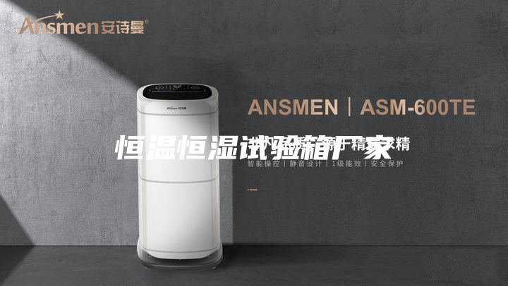 恒温恒湿试验箱厂家