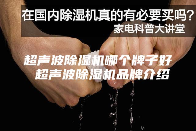 超声波除湿机哪个牌子好 超声波除湿机品牌介绍