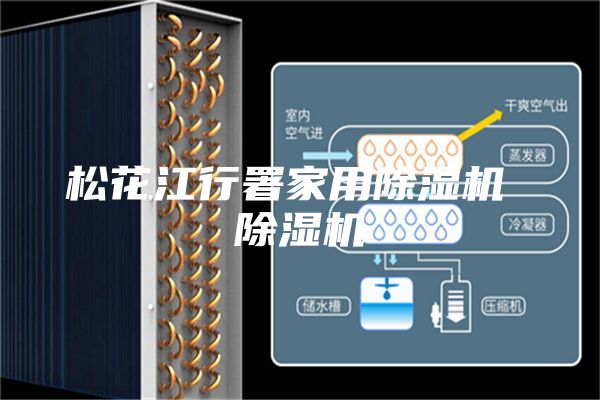松花江行署家用除湿机 除湿机