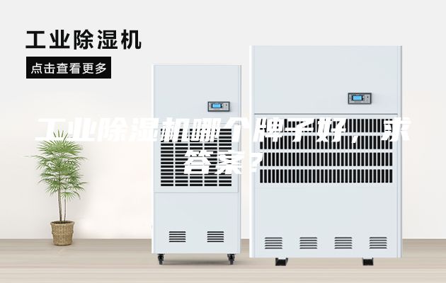 工业除湿机哪个牌子好，求答案？
