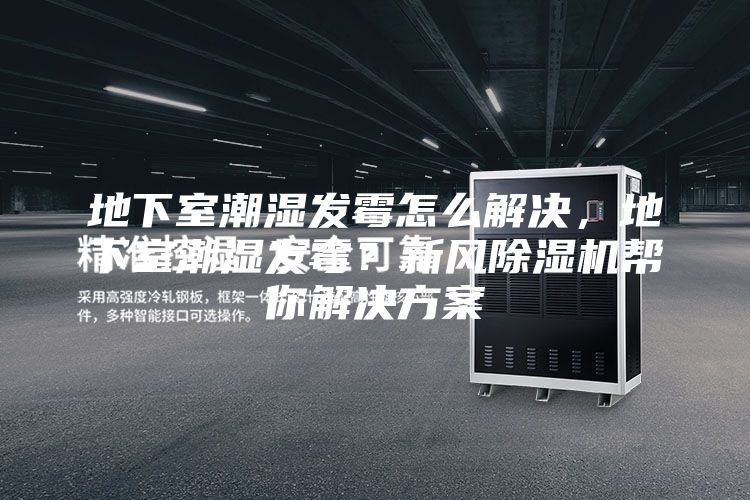 地下室潮湿发霉怎么解决，地下室潮湿发霉？新风除湿机帮你解决方案