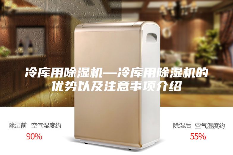 冷库用除湿机—冷库用除湿机的优势以及注意事项介绍