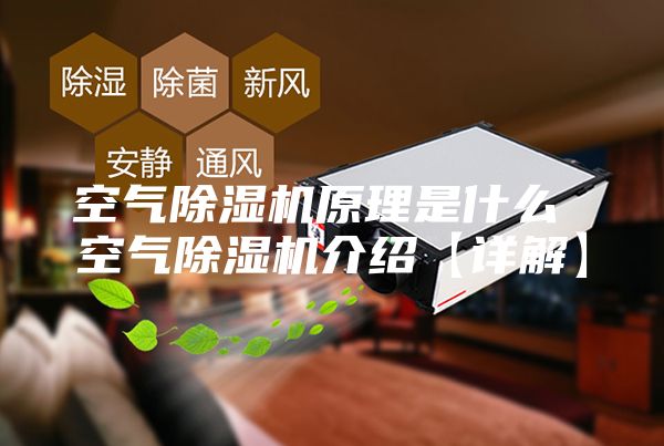 空气除湿机原理是什么 空气除湿机介绍【详解】