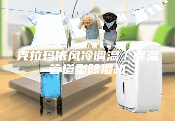 克拉玛依风冷调温／降温管道型除湿机