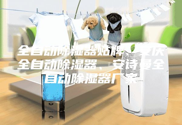 全自动除湿器贴牌、安庆全自动除湿器、安诗曼全自动除湿器厂家