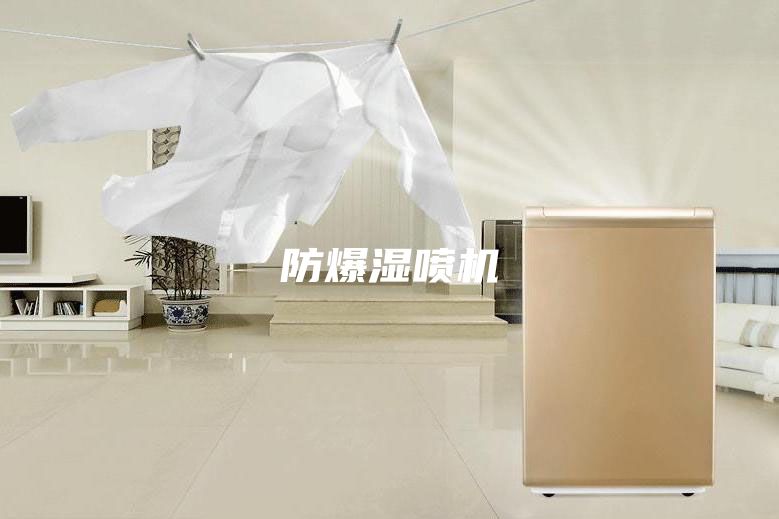 防爆湿喷机