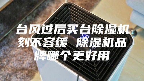 台风过后买台除湿机刻不容缓 除湿机品牌哪个更好用
