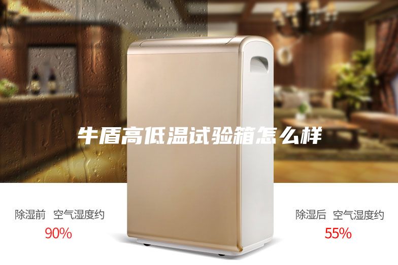 牛盾高低温试验箱怎么样