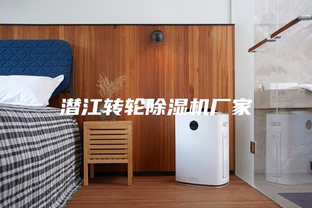 潜江转轮除湿机厂家