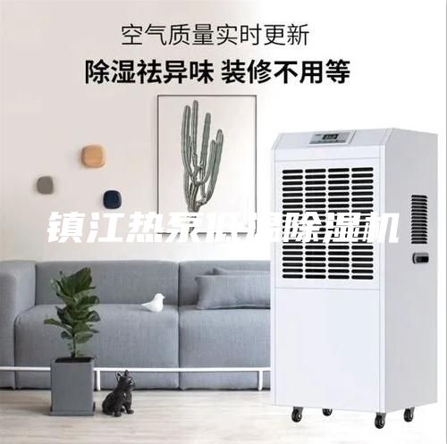 镇江热泵低温除湿机