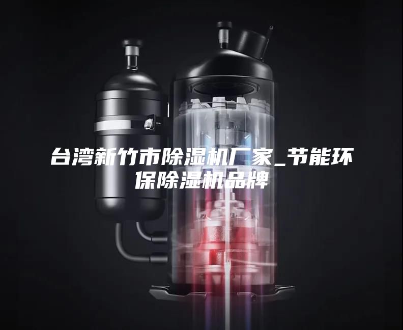 台湾新竹市除湿机厂家_节能环保除湿机品牌