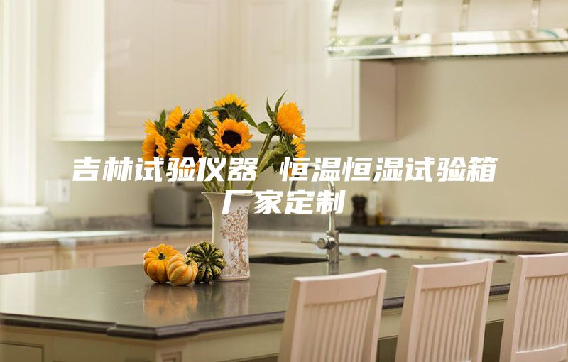 吉林试验仪器 恒温恒湿试验箱厂家定制