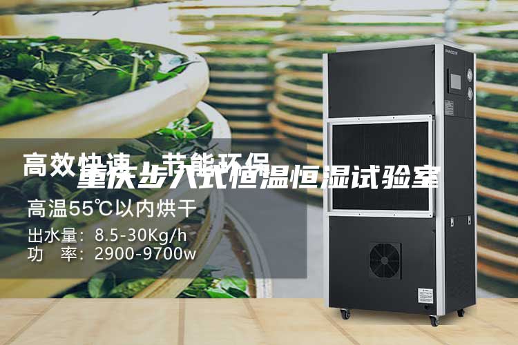 重庆步入式恒温恒湿试验室