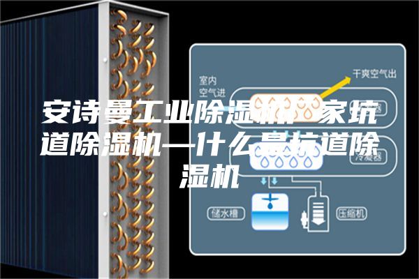 安诗曼工业除湿机厂家坑道除湿机—什么是坑道除湿机